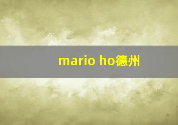 mario ho德州